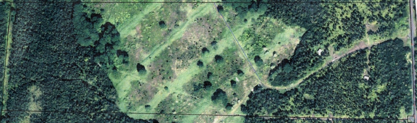 Aerial Photo of Forest Property stewarded by Elisabeth Green